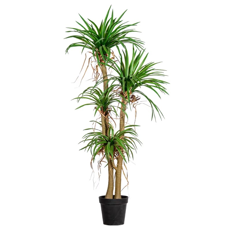 Dracaena Marginata - 屋内外兼用 ホームツリー 模造ドラセナ・マルギナータ 人工観葉植物 プラスチック製 緑の装飾