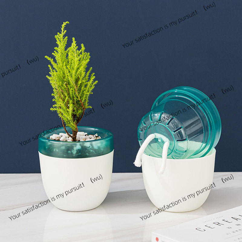 Aloe Vera Pot - 自動吸水レイジーフラワーポット、多肉植物アロエベラ用の水やり不要樹脂プラスチック - 自動給水植木鉢