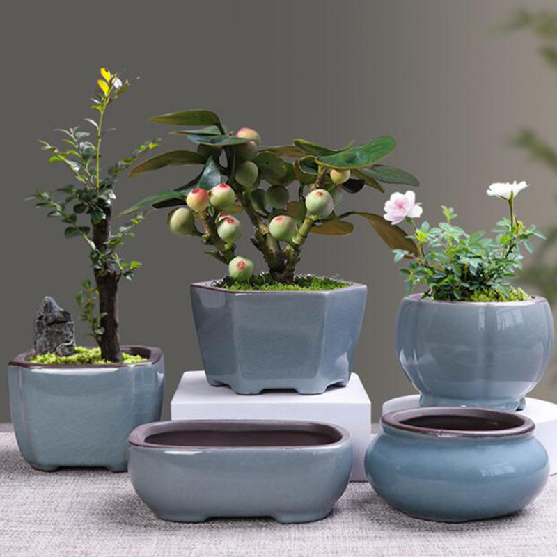 Echeveria Succulent - 家と庭のためのレトロなセラミック植木鉢,通気性のある花瓶,盆栽コンテナ,バルコニーの装飾