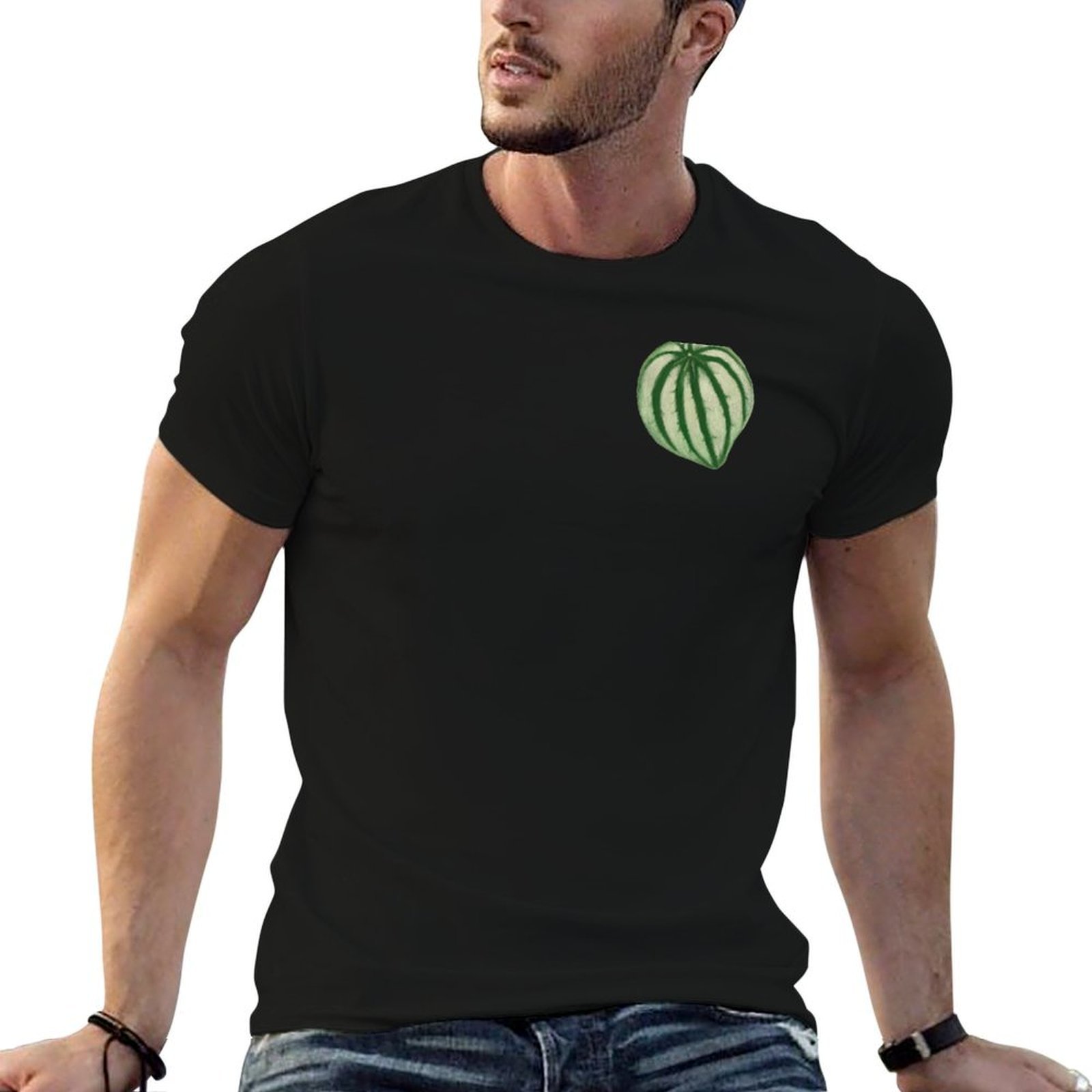 Peperomia Watermelon - ウォーターメロン ペペロミア Tシャツ ドライフィット ランニング半袖トップス