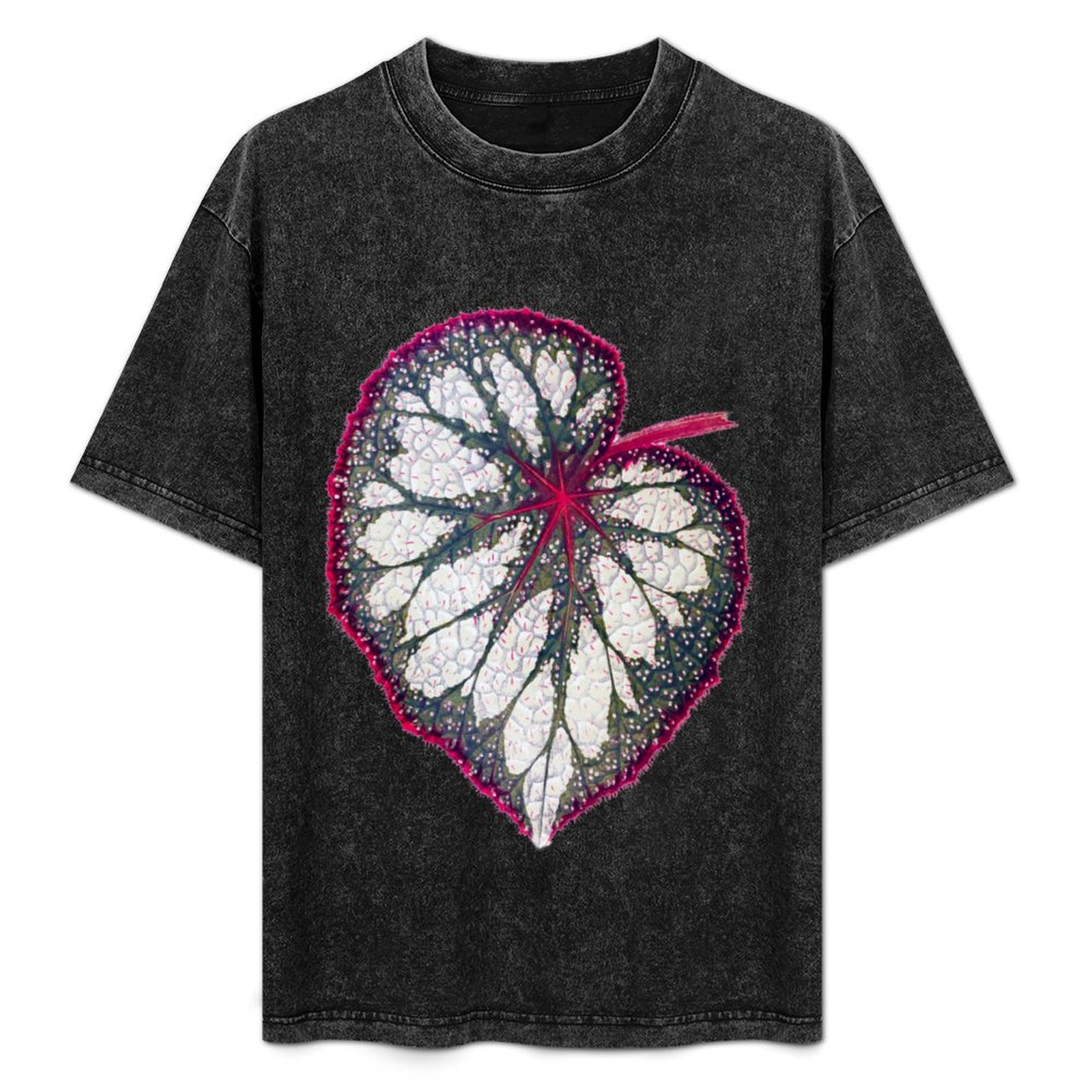 Begonia Rex - ベゴニア レックス Tシャツ ホリデー シンプル Tシャツ