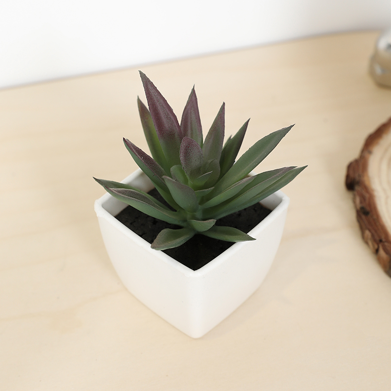 Echeveria Succulent - ミニ人工多肉植物フェアリーカップ小さな鉢植え、プラスチック製の白い花瓶、デスクトップ、窓辺、本棚の装飾