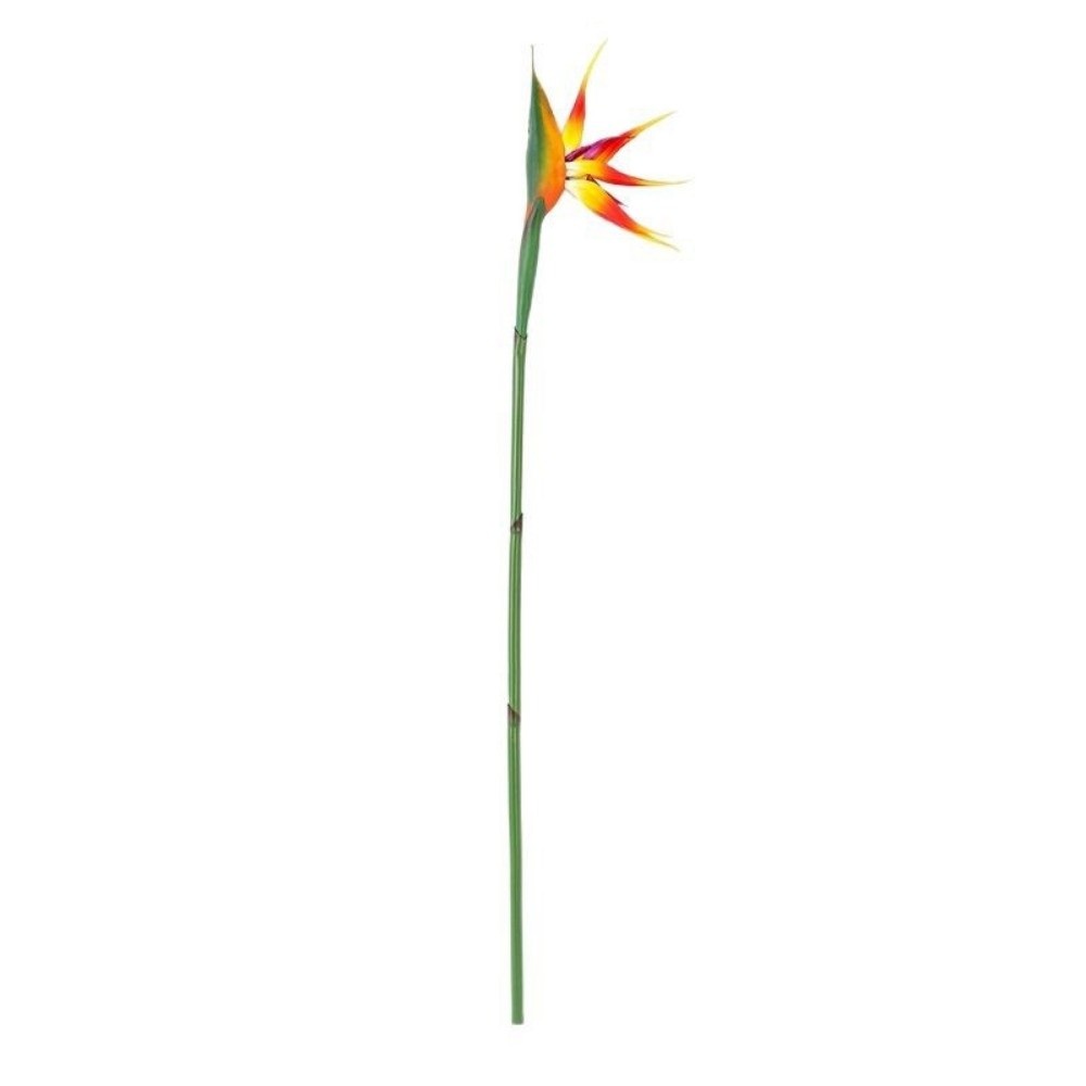 長い茎の人工バードオブパラダイス、本物のような質感の装飾用フ - Bird Paradise Strelitzia のレビューと価格