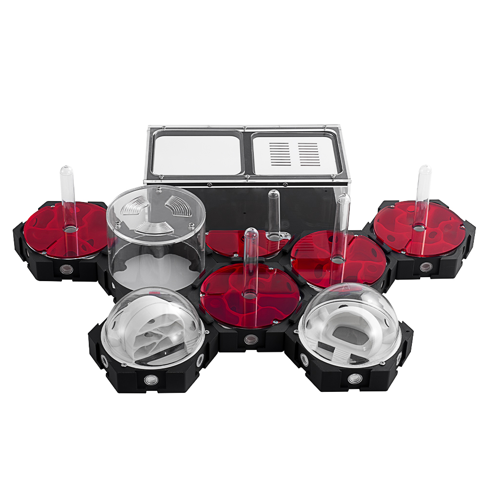 3Dプリント農場,無限に伸縮性のある伸縮性のある巣,昆虫ボッ - Begonia Rex のレビューと価格