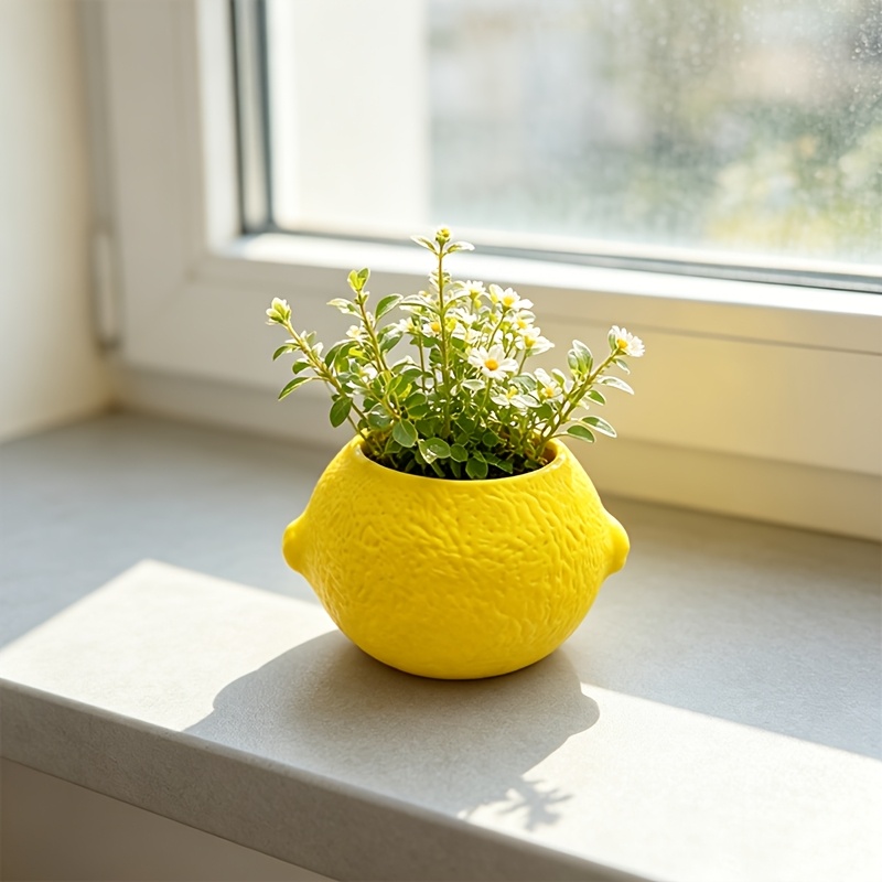 レモン型の装飾プランターポット、多肉植物やサボテンのミニプラ - Echeveria Succulent のレビューと価格