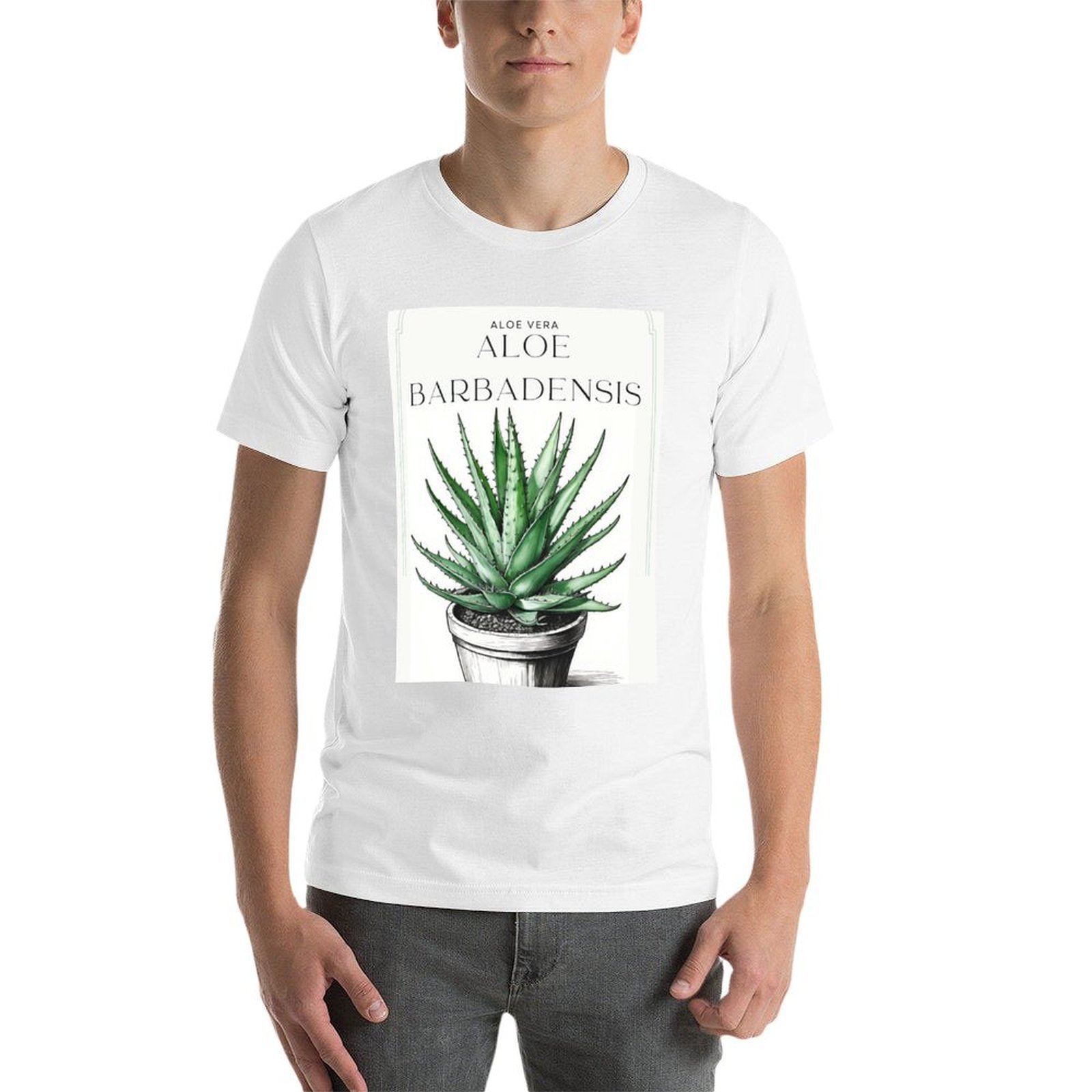 CallisC Artsによる素朴な風合いの鉢植えのアロエベ - Aloe Vera Pot のレビューと価格