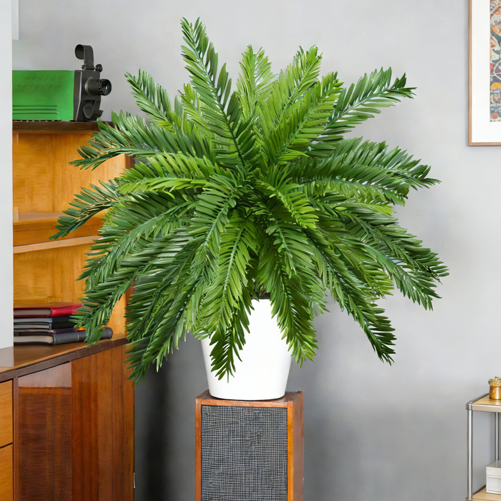 45cm人工ヤシの木、偽ココナッツツリー、トロピカルペルシャ - Dracaena Marginata のレビューと価格