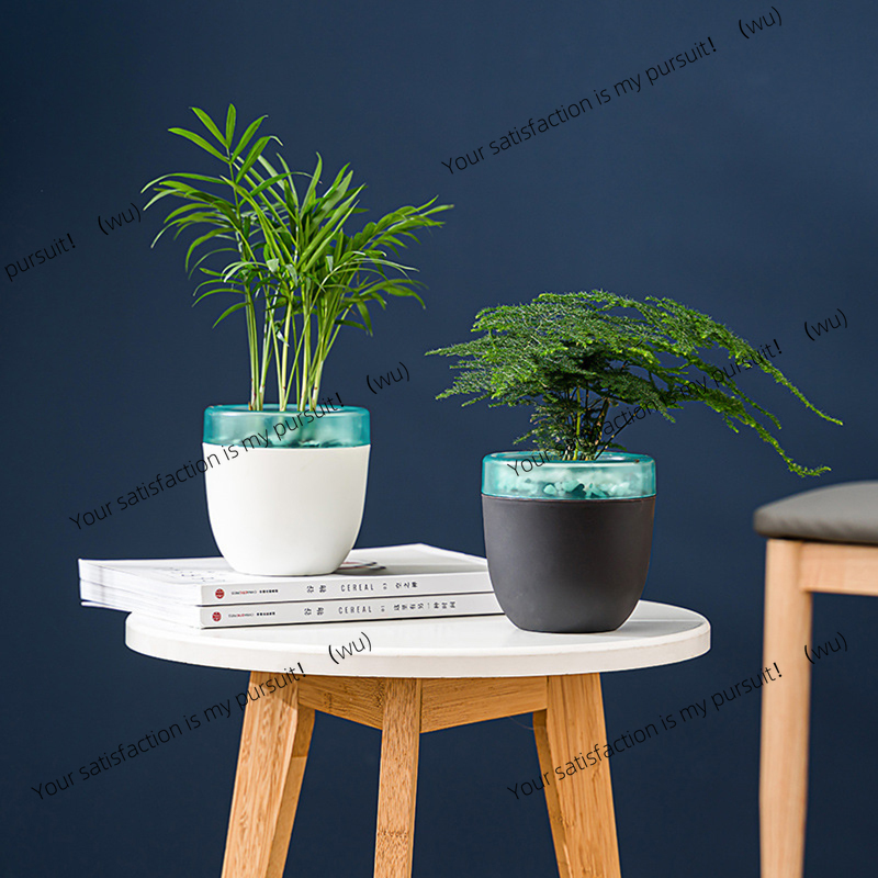 自動吸水レイジーフラワーポット、多肉植物アロエベラ用の水やり - Aloe Vera Pot のレビューと価格