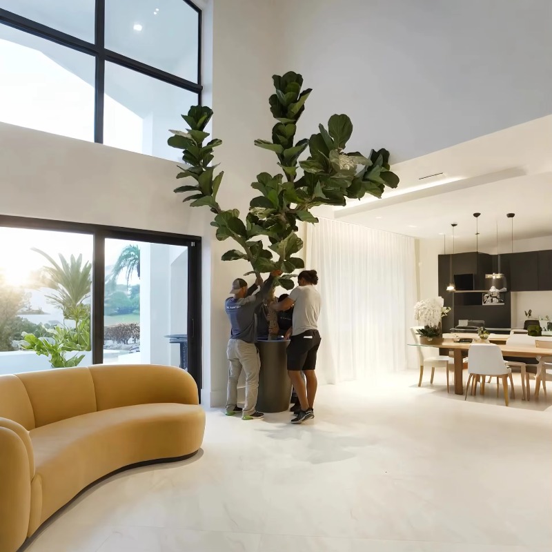 人工観葉植物 室内鉢植え 人工樹木 フィドルリーフフィカス  - Ficus Lyrata Tree のレビューと価格