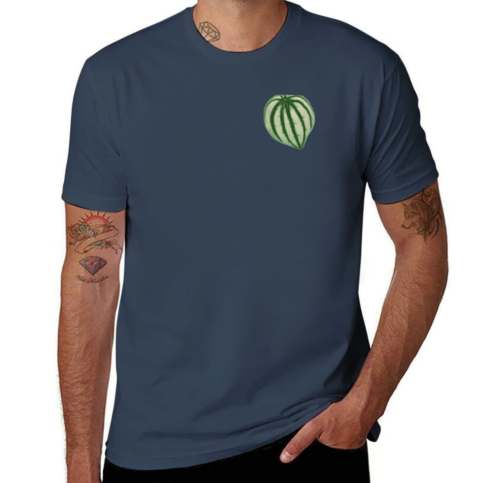 ペペロミア ウォーターメロン Tシャツ ミニマルアートプリン - Peperomia Watermelon のレビューと価格