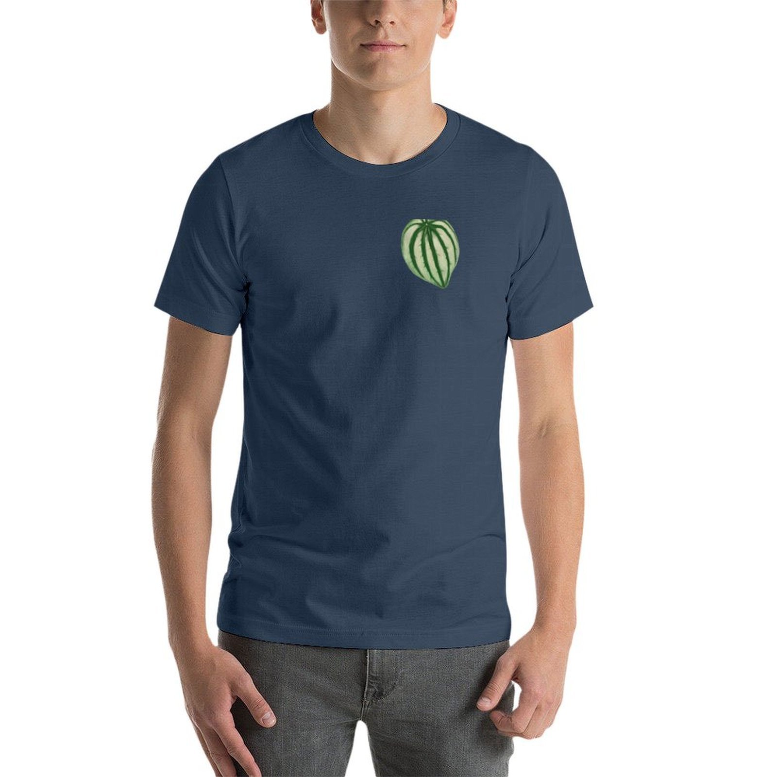 ペペロミア ウォーターメロン Tシャツ ミニマルアートプリン - Peperomia Watermelon のレビューと価格