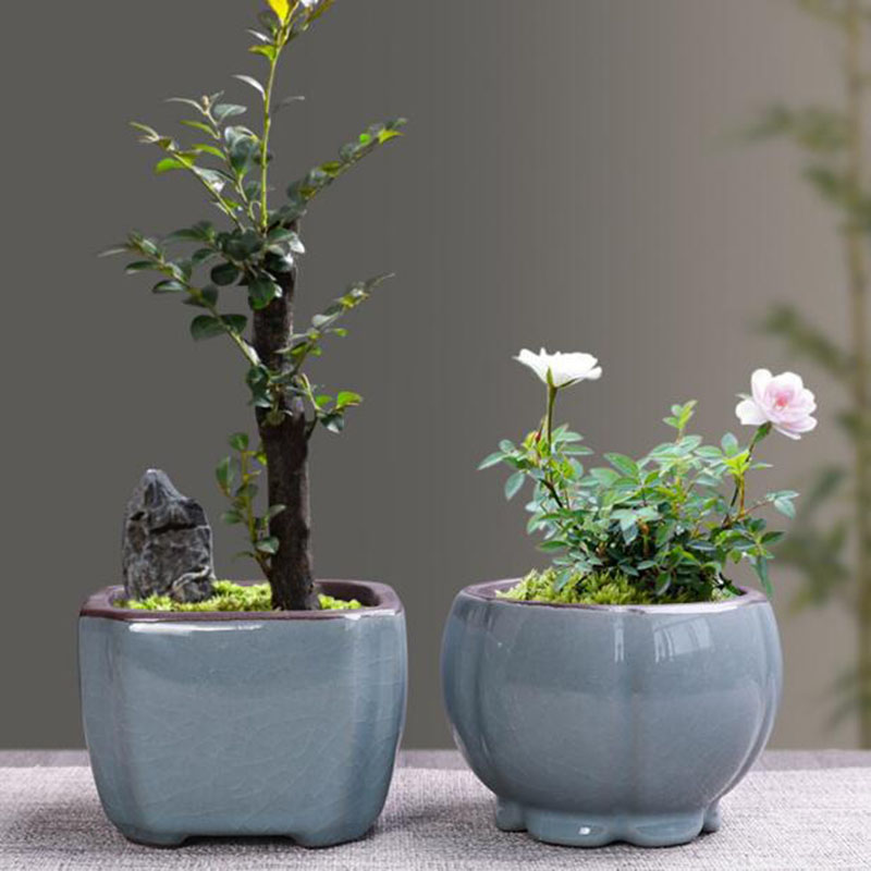 家と庭のためのレトロなセラミック植木鉢,通気性のある花瓶,盆 - Echeveria Succulent のレビューと価格