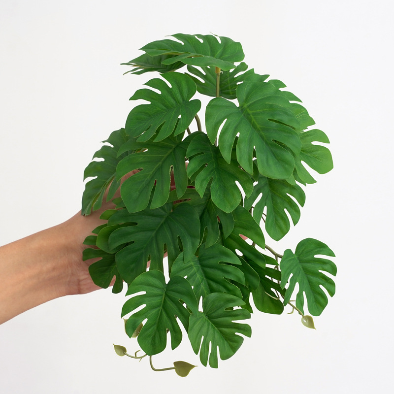 爬虫類飼育ケージ用人工吊り下げ植物 フェイクモンステラ フェ - Monstera Adansonii のレビューと価格