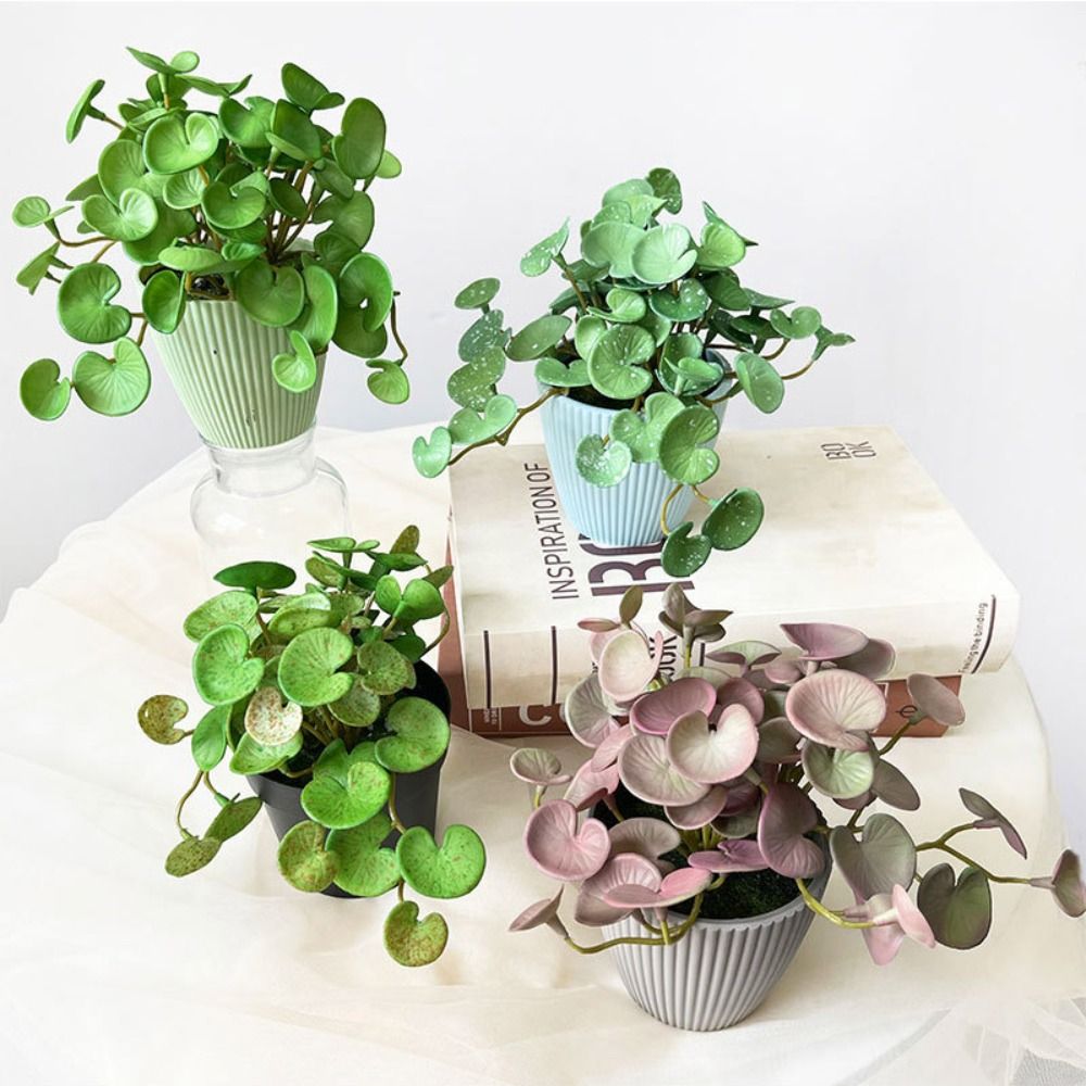 柔らかい接着剤人工植物,エヴァ,緑の多肉植物の葉,壁掛け,家 - Echeveria Succulent のレビューと価格
