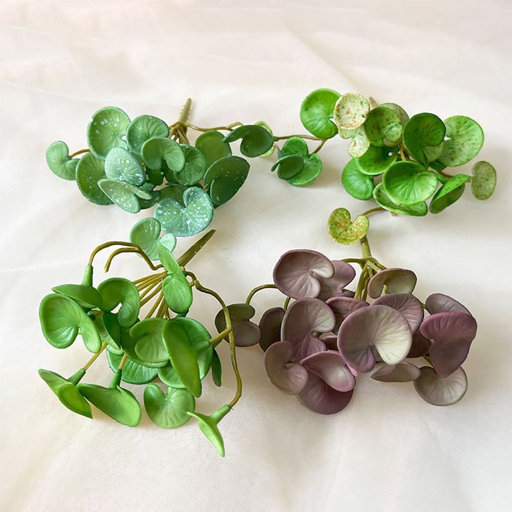 柔らかい接着剤人工植物,エヴァ,緑の多肉植物の葉,壁掛け,家 - Echeveria Succulent のレビューと価格