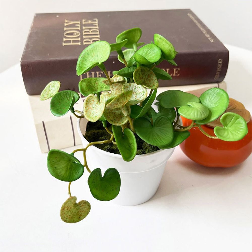 柔らかい接着剤人工植物,エヴァ,緑の多肉植物の葉,壁掛け,家 - Echeveria Succulent のレビューと価格