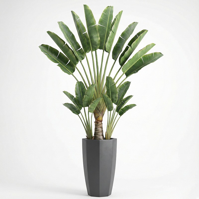 高シミュレーションプラスチック製フィドルリーフフィグツリー人 - Ficus Lyrata Tree のレビューと価格