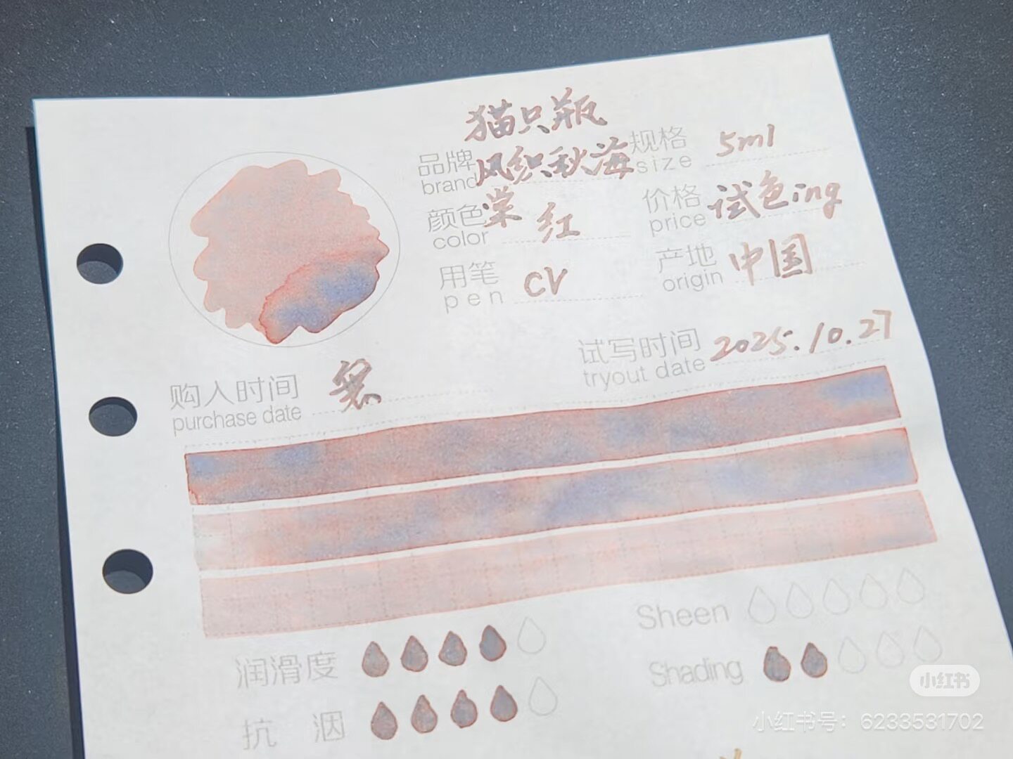 KittyInkpot ベゴニアレックスカラー 5/35 ミ - Begonia Rex のレビューと価格
