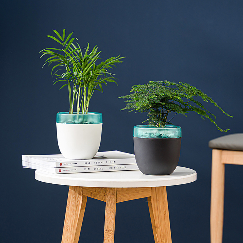 自動吸水怠惰な植木鉢多肉植物アロエベラ用無水樹脂プラスチック - Aloe Vera Pot のレビューと価格