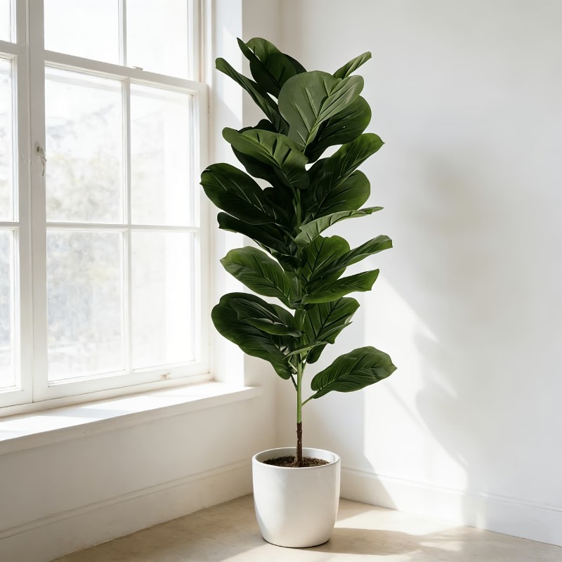 1個入り 100cm人工フィカス・リラータの木、23枚の葉の - Ficus Lyrata Tree のレビューと価格