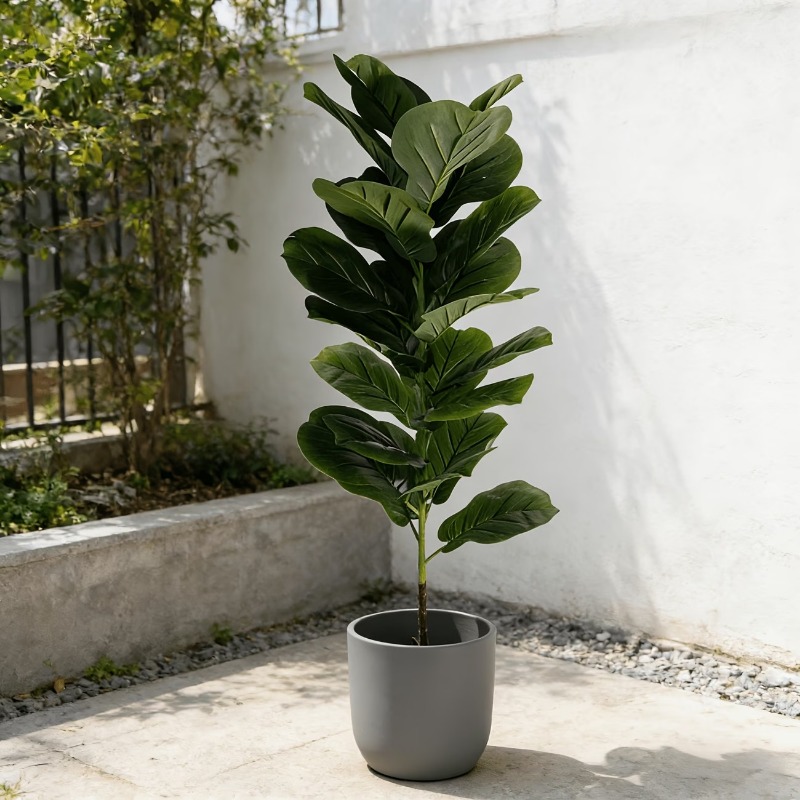 1個入り 100cm人工フィカス・リラータの木、23枚の葉の - Ficus Lyrata Tree のレビューと価格