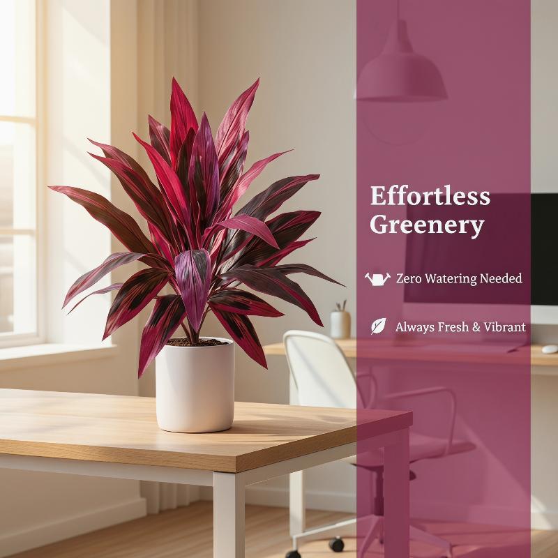 大型人工ドラセナ・マージナタの木 55cm 木製幹付きフェイ - Dracaena Marginata のレビューと価格