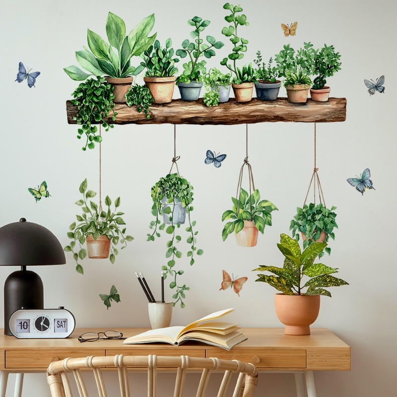 3D鉢植えの緑の植物棚ウォールデカール、緑の植物、熱帯の多肉 - Echeveria Succulent のレビューと価格