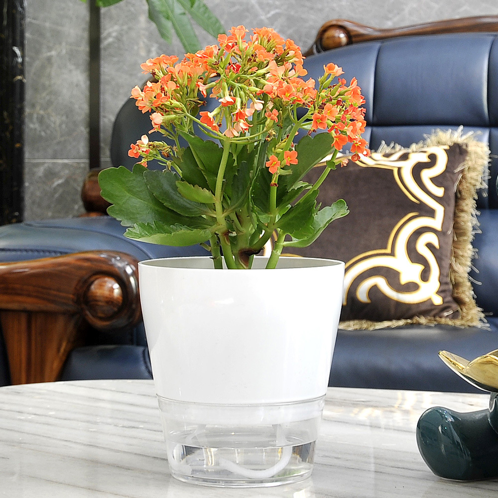 排水穴のある怠惰な植木鉢,自己散水,透明な受け皿,屋内植物の - Aloe Vera Pot のレビューと価格