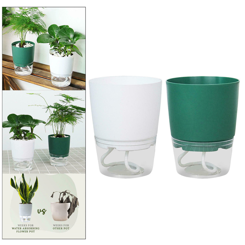 水の形をした野菜の植木鉢,水族館の自動吸収,透明な二重層,プ - Aloe Vera Pot のレビューと価格