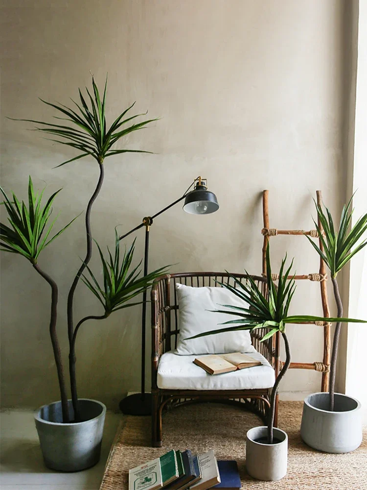 シミュレーション プラント ドラセナ マージナータ ドラセナ - Dracaena Marginata のレビューと価格