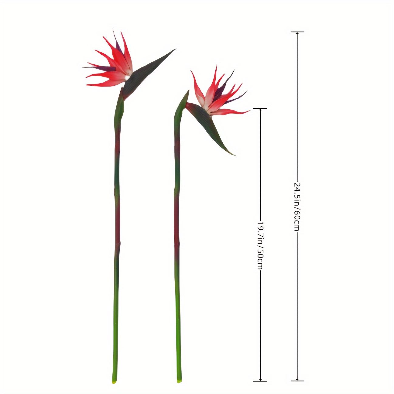 3個入り人工極楽鳥花ラバーストレリチア24.5インチロングス - Bird Paradise Strelitzia のレビューと価格