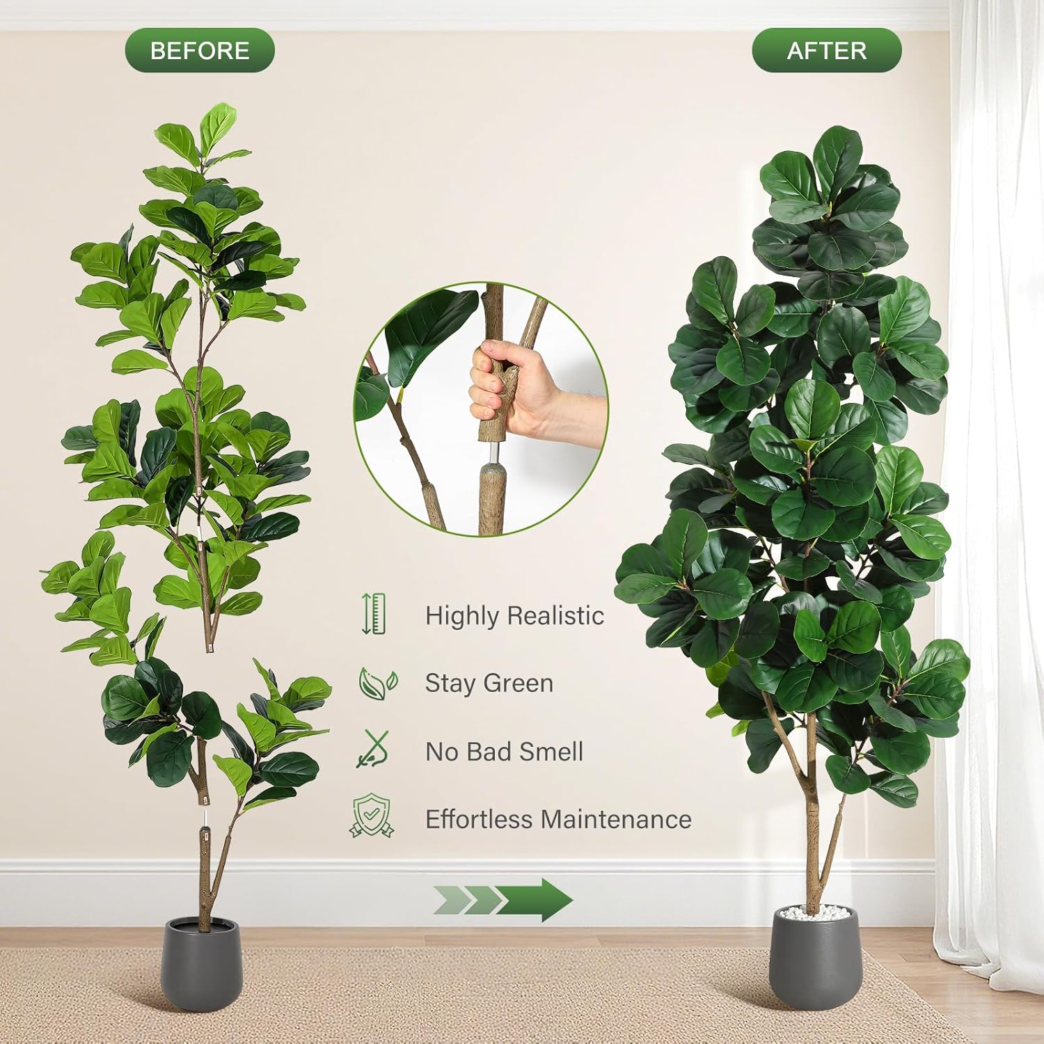 4FT/5FT/6FT/7FT フィドルリーフイチジクの木  - Ficus Lyrata Tree のレビューと価格