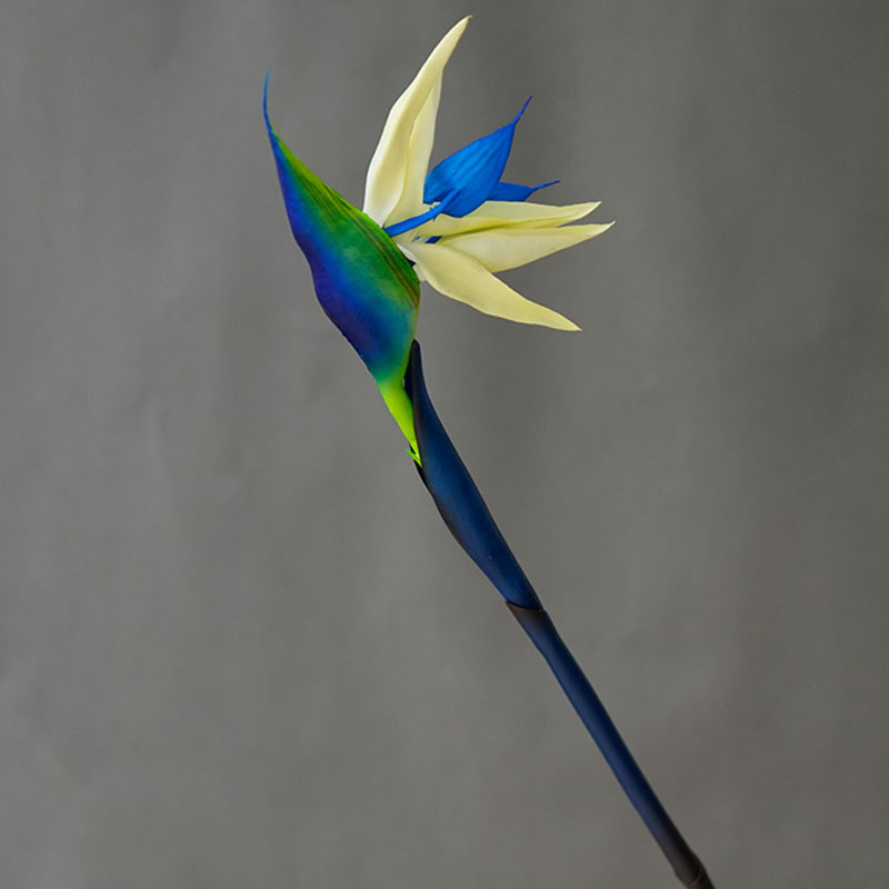 1PC 人工楽園鳥花、フェイクバードオブパラダイスストレリチ - Bird Paradise Strelitzia のレビューと価格