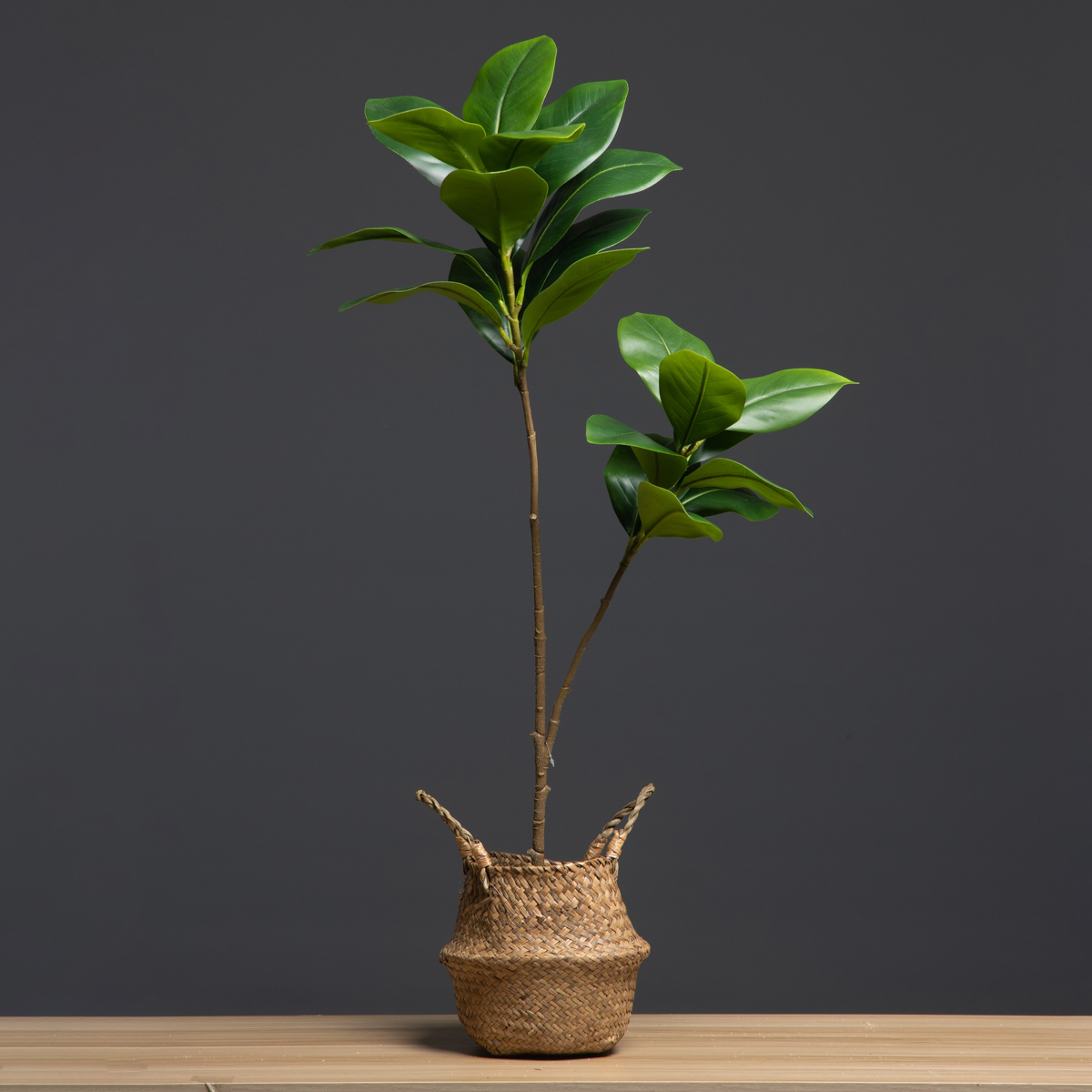 105 センチメートル 2 フォーク大型人工植物偽マグノリア - Dracaena Marginata のレビューと価格