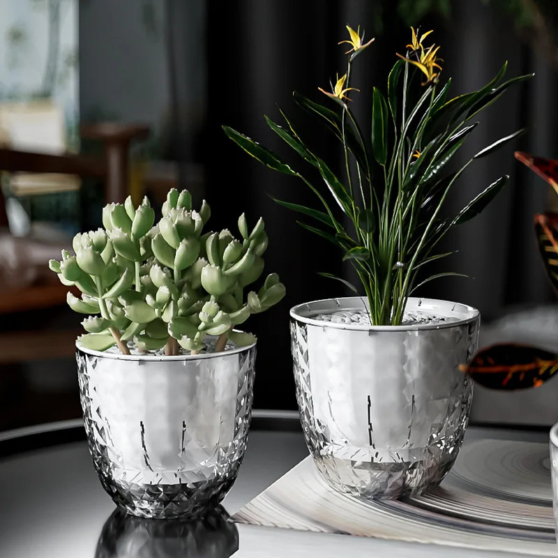 3 個の透明な二層自動給水ポット - 多肉植物用自動吸水プラ - Aloe Vera Pot のレビューと価格