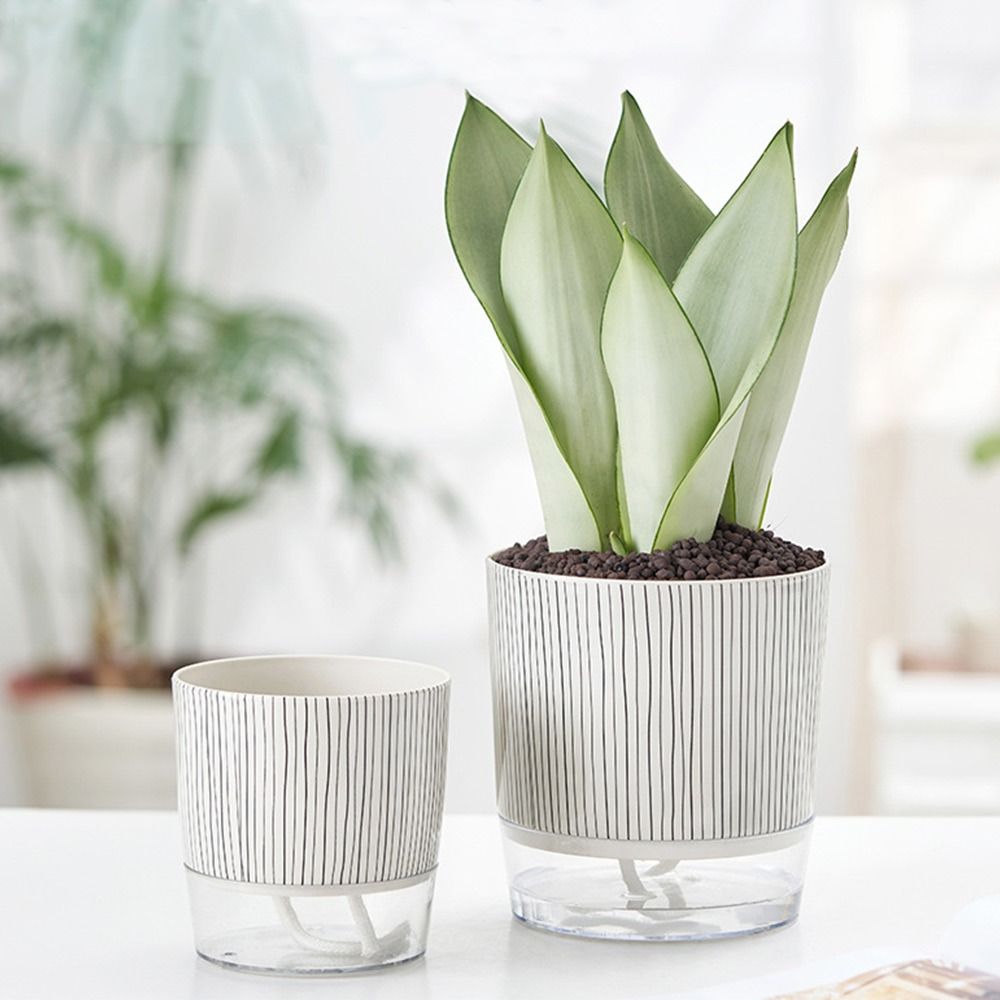 透明な自動給水植木鉢、緑の植物、家庭用盆栽装飾、水容器付きの - Aloe Vera Pot のレビューと価格