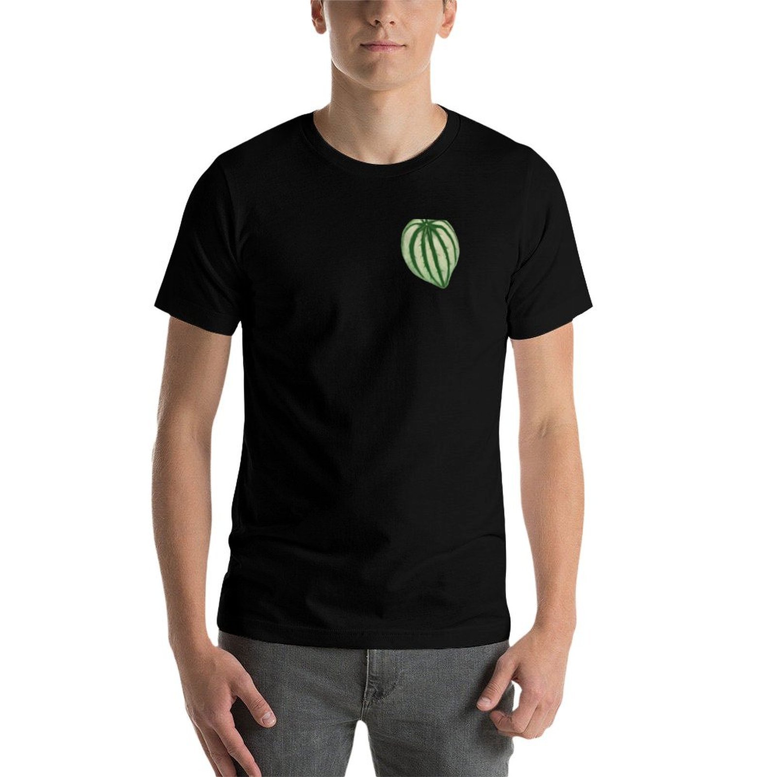 スイカ ペペロミア Tシャツ カジュアル デイリー グラフィ - Peperomia Watermelon のレビューと価格