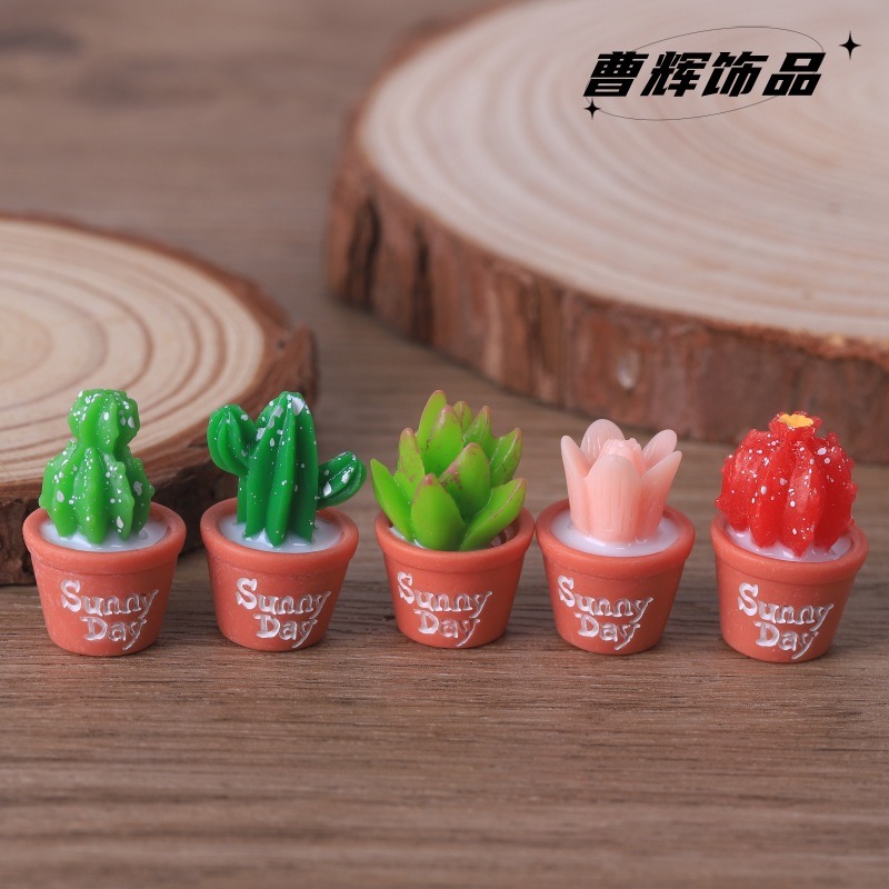 5 個シミュレーション多肉植物鉢植えガーデニング造園マイクロ - Echeveria Succulent のレビューと価格